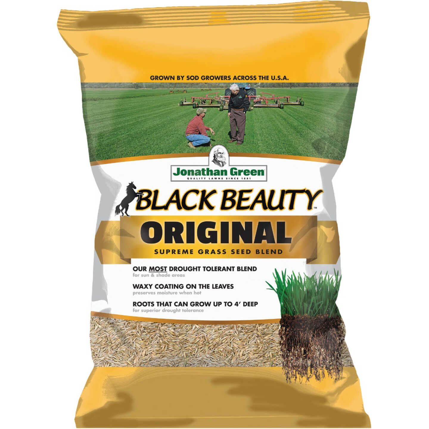 Jonathan Green Black Beauty 25 Lb. 3750 Sq. Ft. Coverage 100% Tall Fescue Grass Seed Image 1
