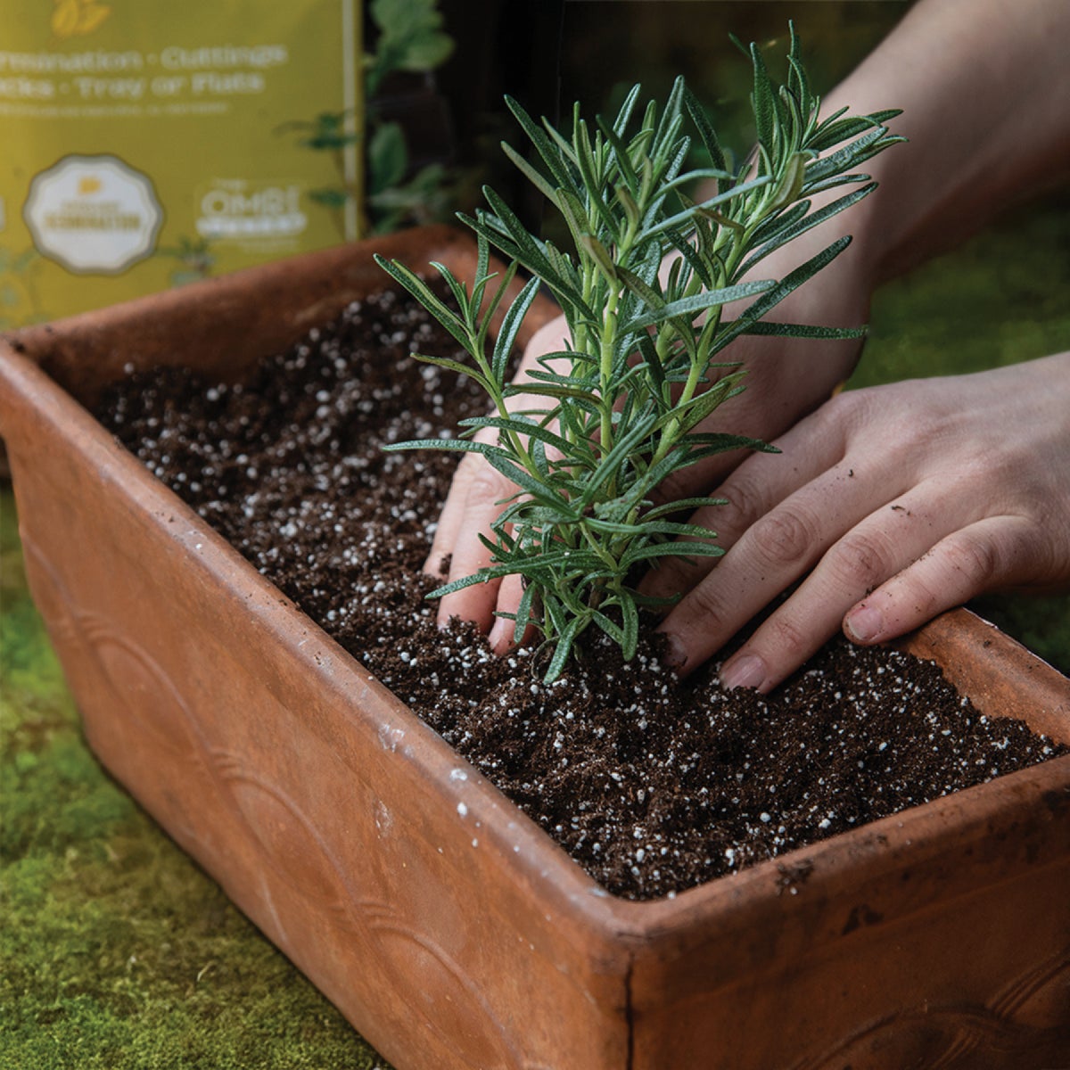 Black Gold 8 Qt. 6 Lb. All Purpose Container Potting Seed Starting Mix Image 3