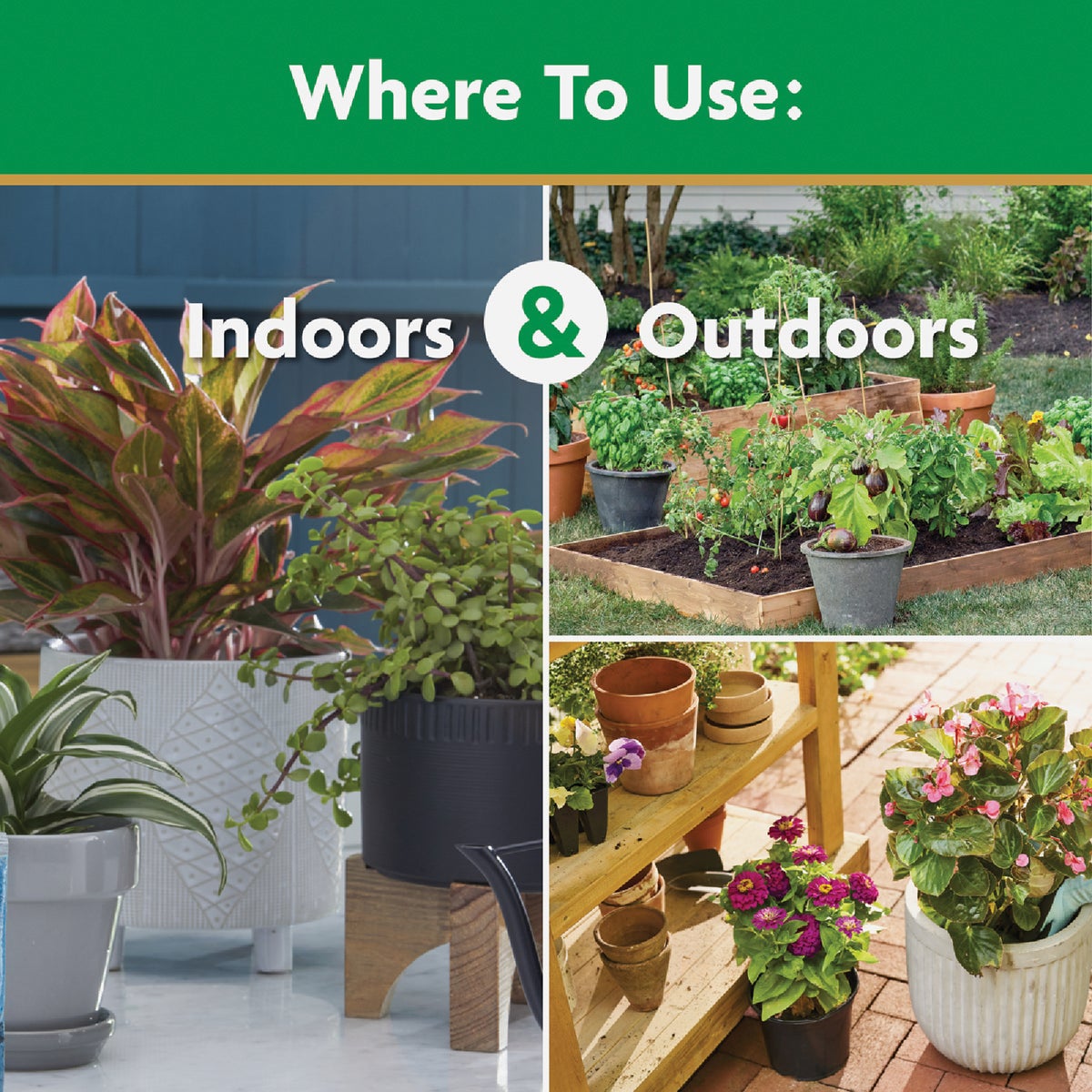 Miracle-Gro 8 Oz. Water Soluble All Purpose Plant Food Image 5