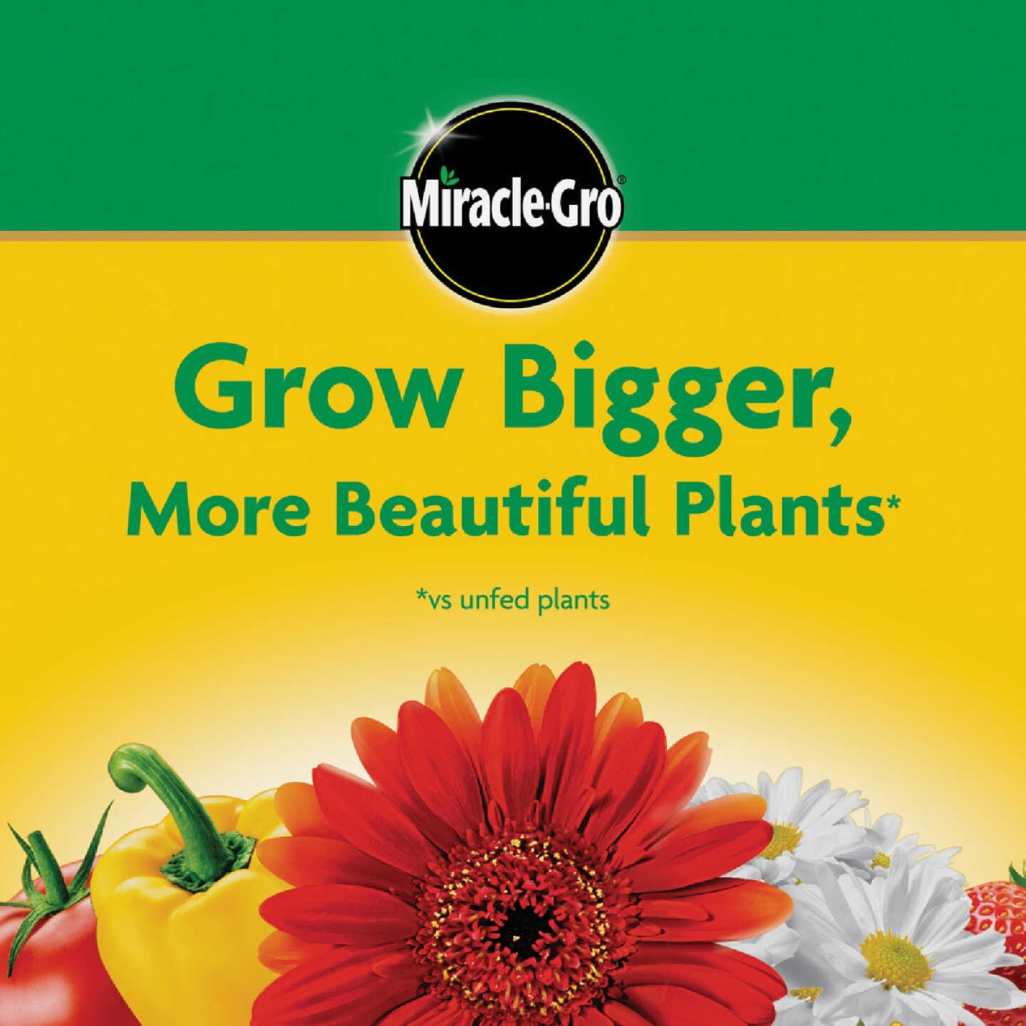 Miracle-Gro 8 Oz. Water Soluble All Purpose Plant Food Image 7