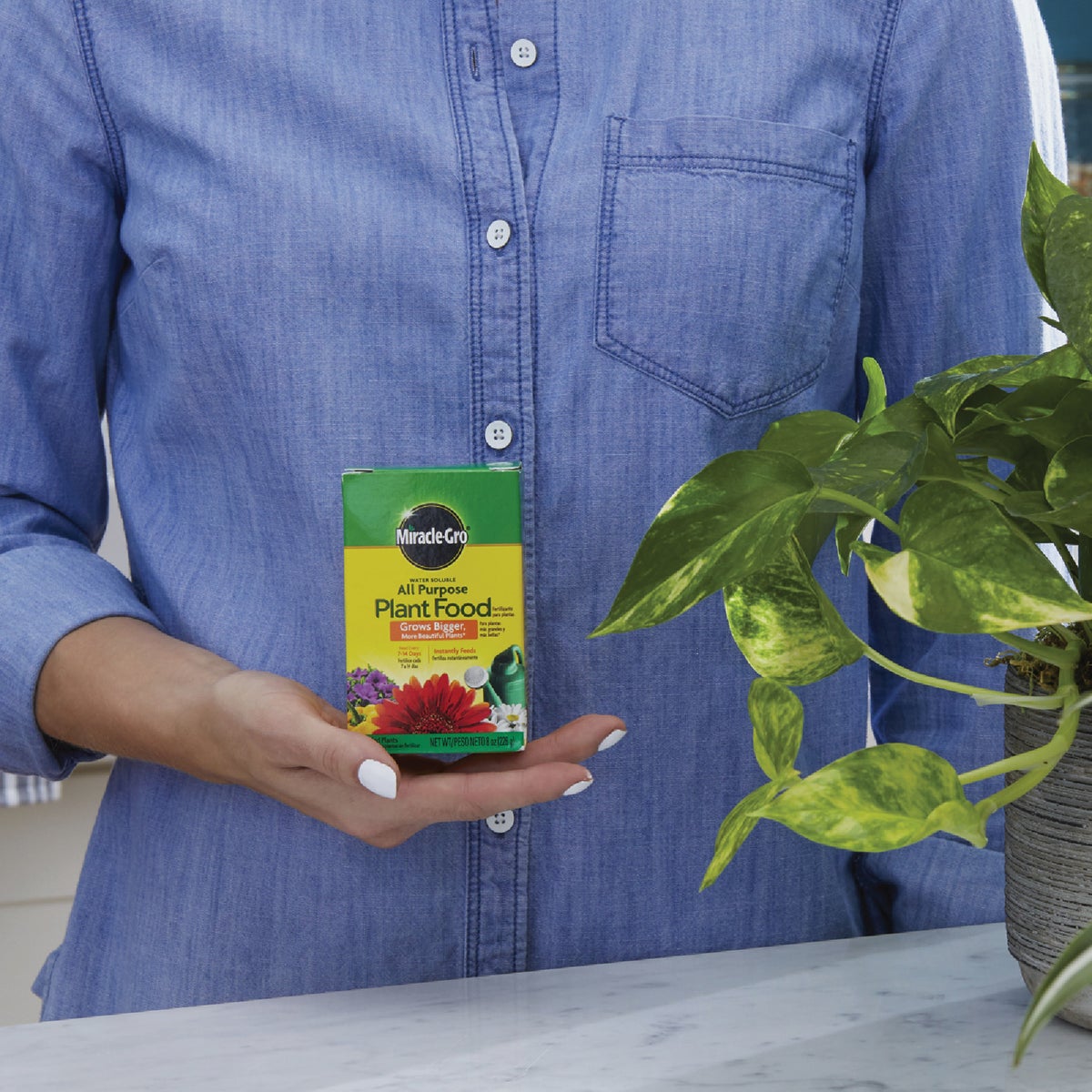 Miracle-Gro 8 Oz. Water Soluble All Purpose Plant Food Image 3