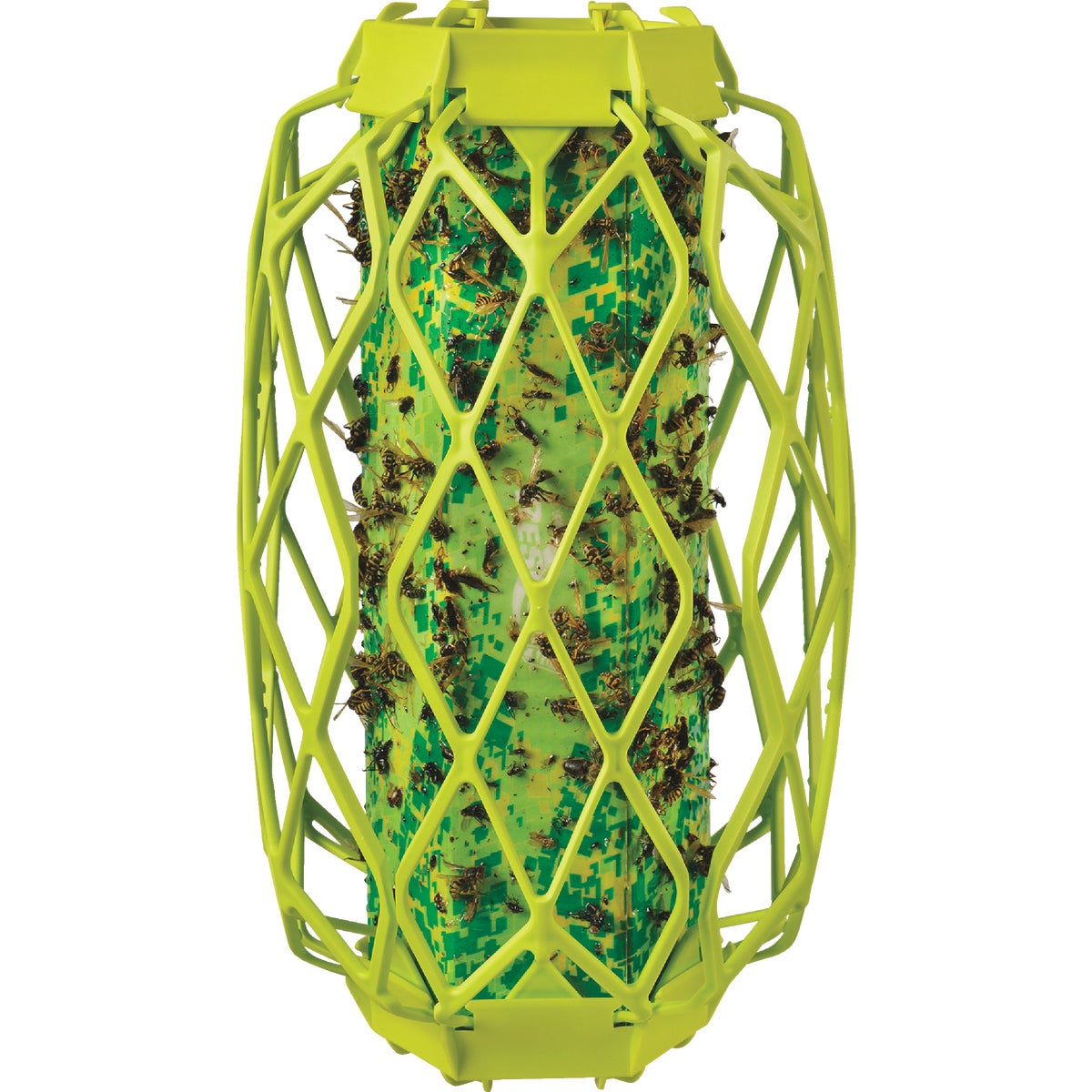 Rescue TrapStik Wasp, Carpenter Bee, Mud Dauber Trap Image 6