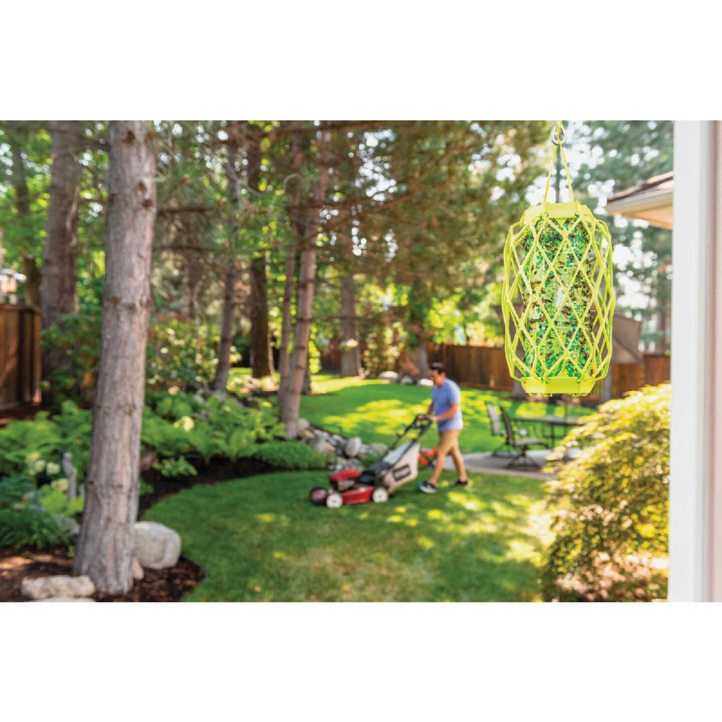 Rescue TrapStik Wasp, Carpenter Bee, Mud Dauber Trap Image 3