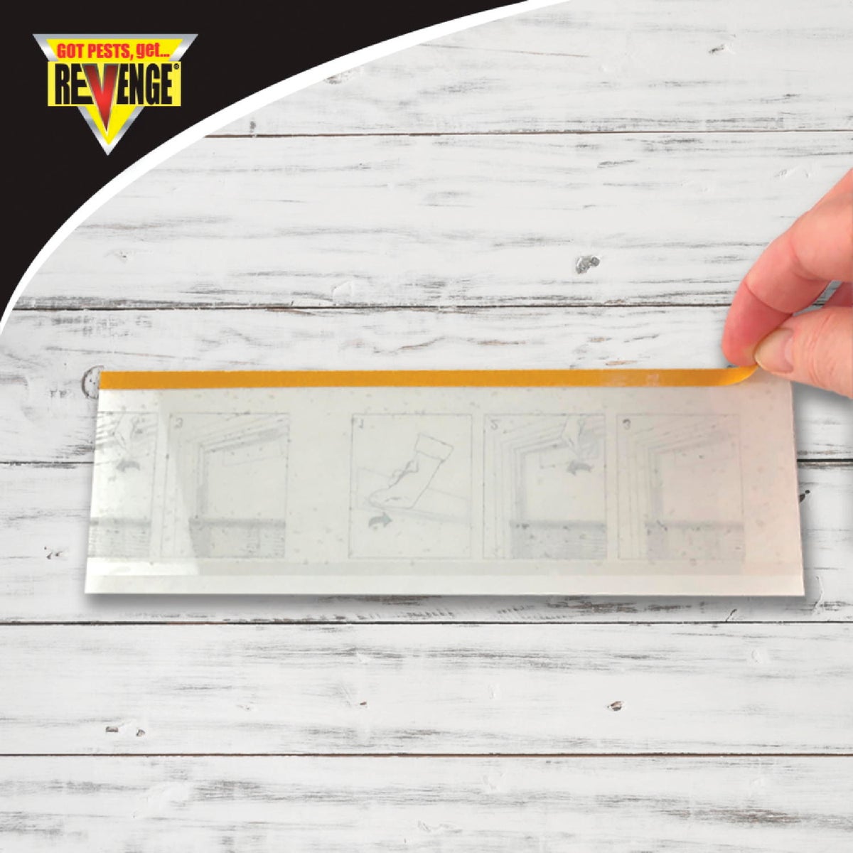 REVENGE No Escape Disposable Indoor Window Fly Catchers (4-Pack) Image 3