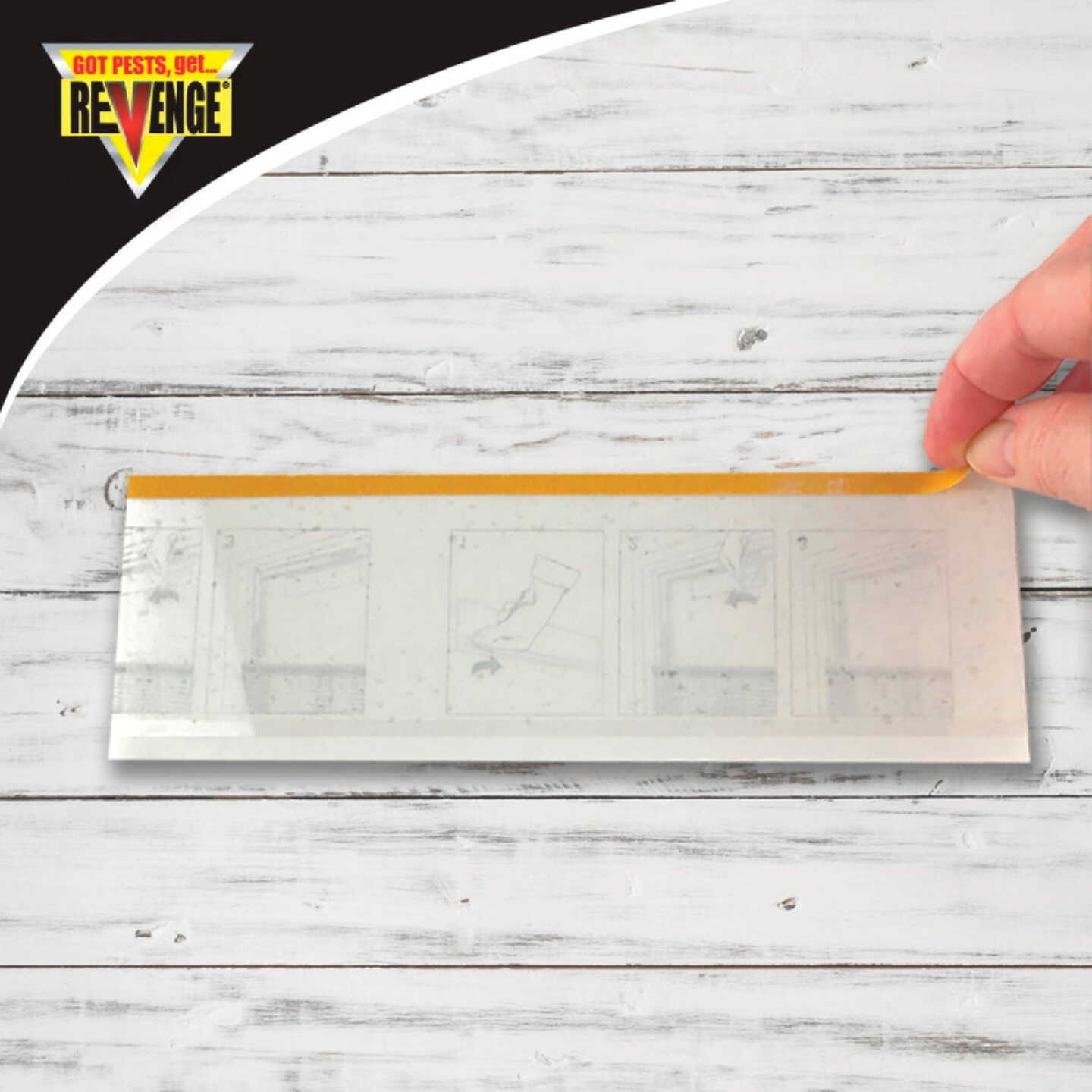 REVENGE No Escape Disposable Indoor Window Fly Catchers (4-Pack) Image 3