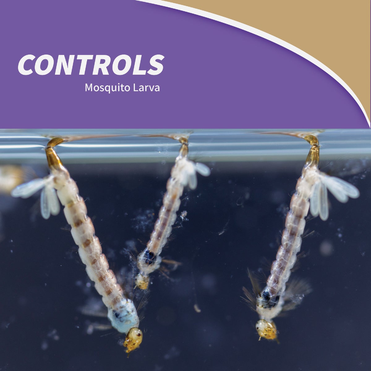 Bonide Mosquito Beater WSP Water Soluble Pouches (24-Pack) Image 5