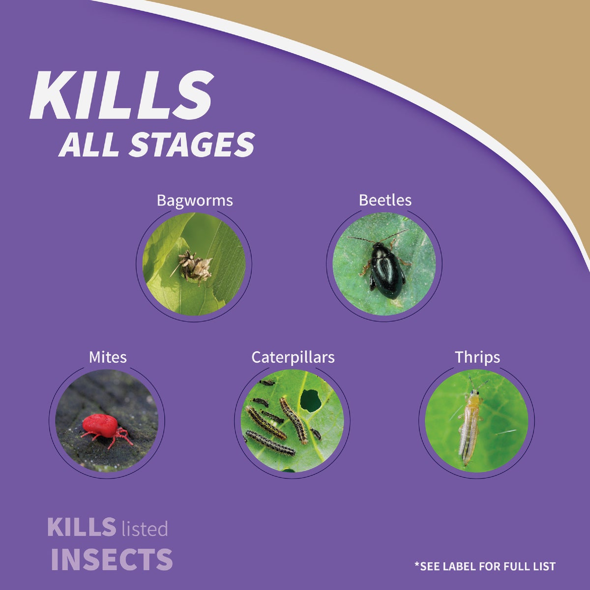 Bonide Captain Jack's Deadbug Brew 4 Lb. Ready To Use Flower & Vegetable Garden Dust Image 5