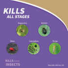 Bonide Captain Jack's Deadbug Brew 4 Lb. Ready To Use Flower & Vegetable Garden Dust Image 5