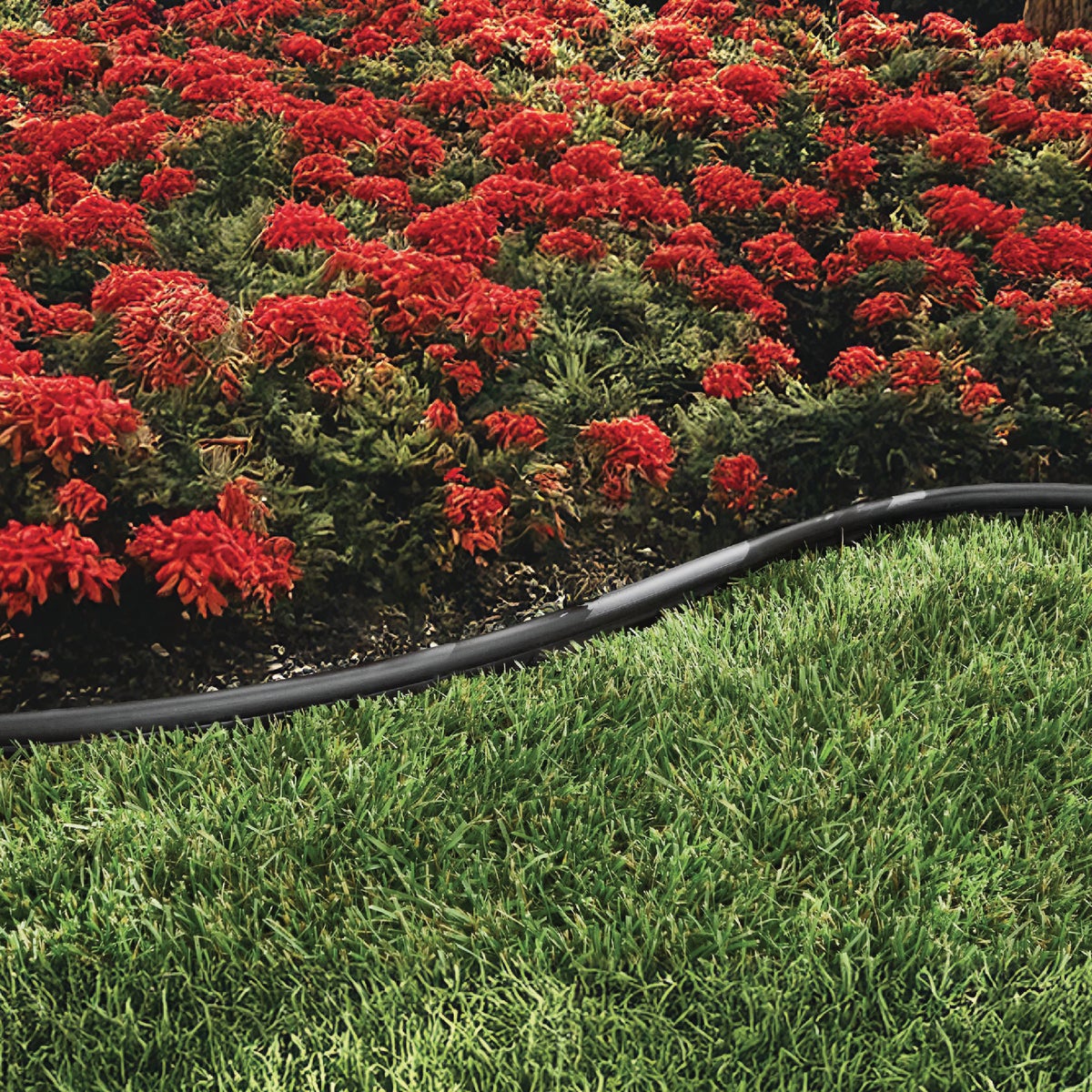 Master Mark Plus Straight Black Plastic Lawn Edging Coupler (3-Pack) Image 3