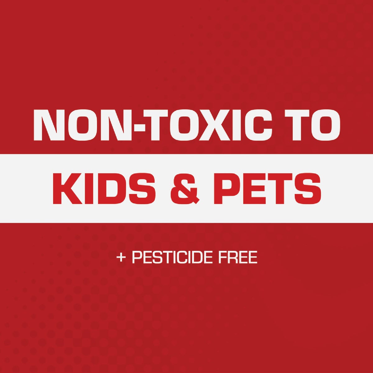 TOMCAT Rat Size Mouse Glue Trap (2-Pack) Image 5