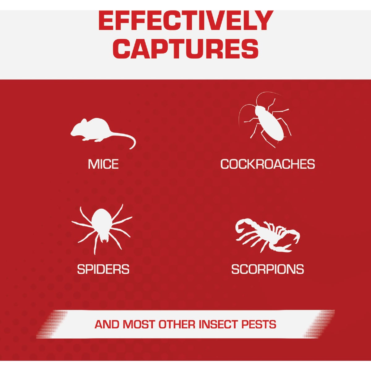 TOMCAT Mouse Size Glue Trap (4-Pack) Image 4