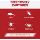 TOMCAT Mouse Size Glue Trap (4-Pack) Image 4