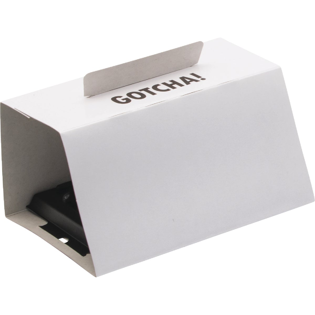 Intruder The Better Glue Trap Cold Temperature Mouse Trap (4-Pack)