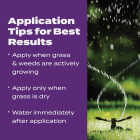 Scotts Turf Builder Bonus S Southern Weed & Feed2 33.39 Lb. 10,000 Sq. Ft. Weed Killer Plus Lawn Fertilizer Image 6