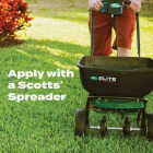 Scotts Turf Builder Bonus S Southern Weed & Feed2 33.39 Lb. 10,000 Sq. Ft. Weed Killer Plus Lawn Fertilizer Image 4