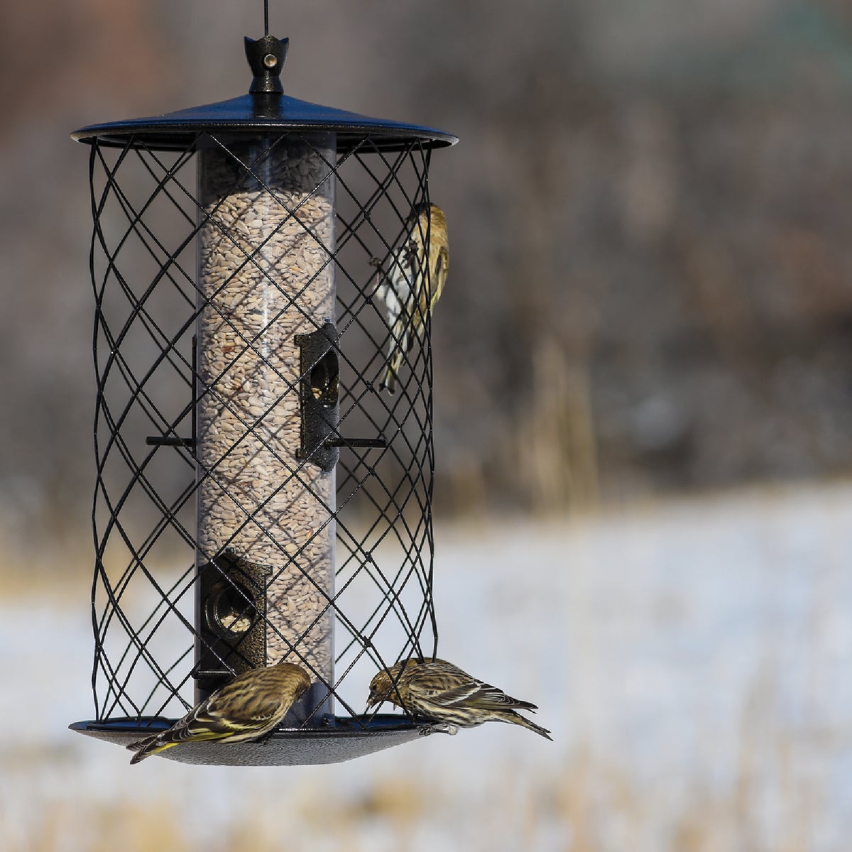 Perky-Pet The Preserve Black 3 Lb. Capacity Wild Bird Feeder Image 3