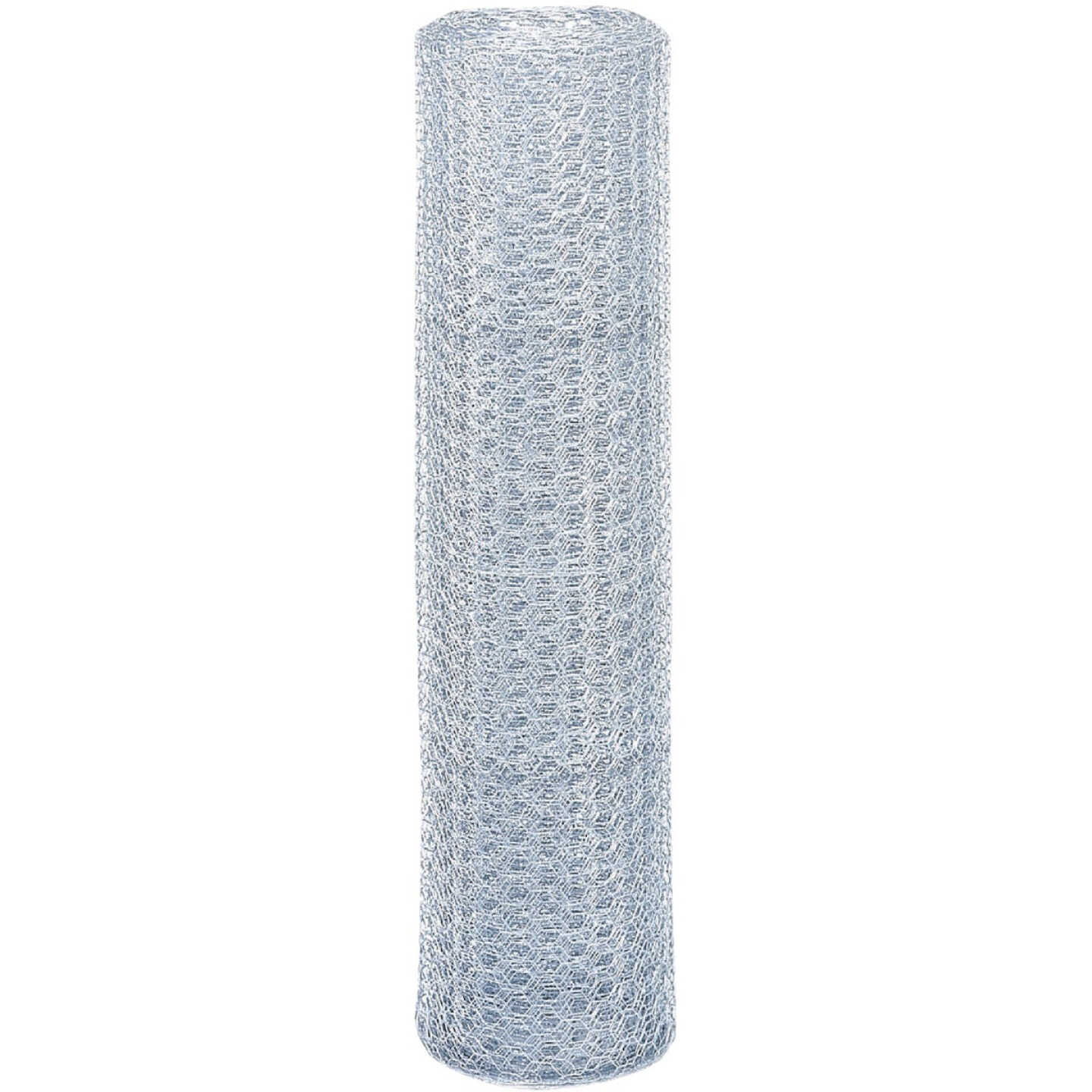 1 In. x 72 In. H. x 50 Ft. L. Hexagonal Wire Poultry Netting Image 2