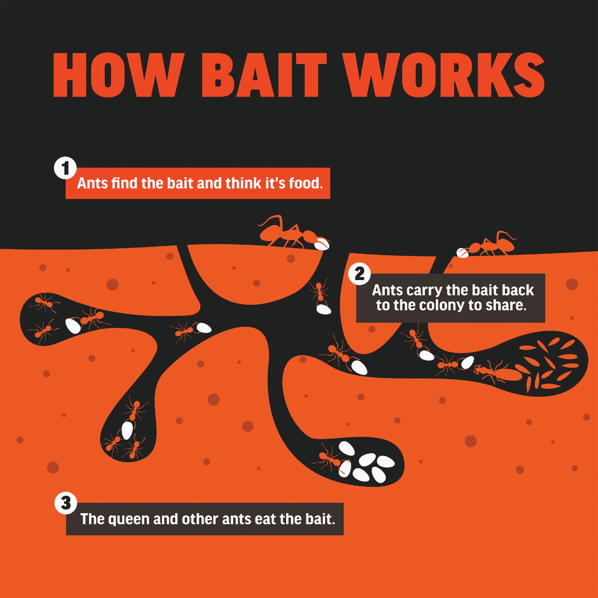 Amdro 5 Lb. Ready To Use Granules Fire Ant Killer Yard Treatment Image 3