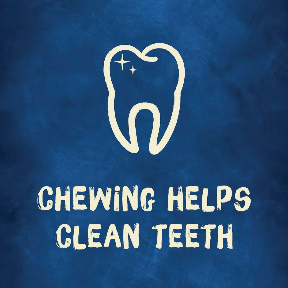 Purina Busy Bone Small & Medium Dog Meat Flavor Dental Dog Treat (2-Pack) Image 6