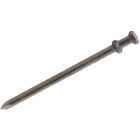 Do it 6d x 1-3/4 In. Bright Duplex Framing Nails (718 Ct., 5 Lb.) Image 1