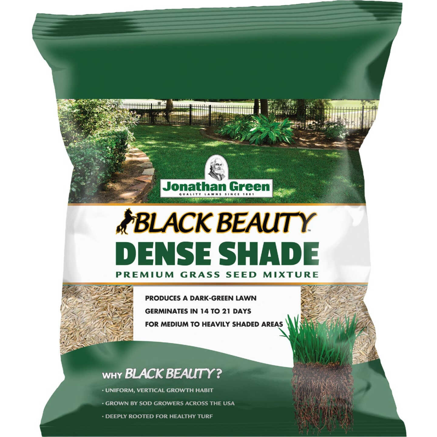 Jonathan Green Black Beauty 3 Lb. 900 Sq. Ft. Coverage Dense Shade Grass Seed Image 1
