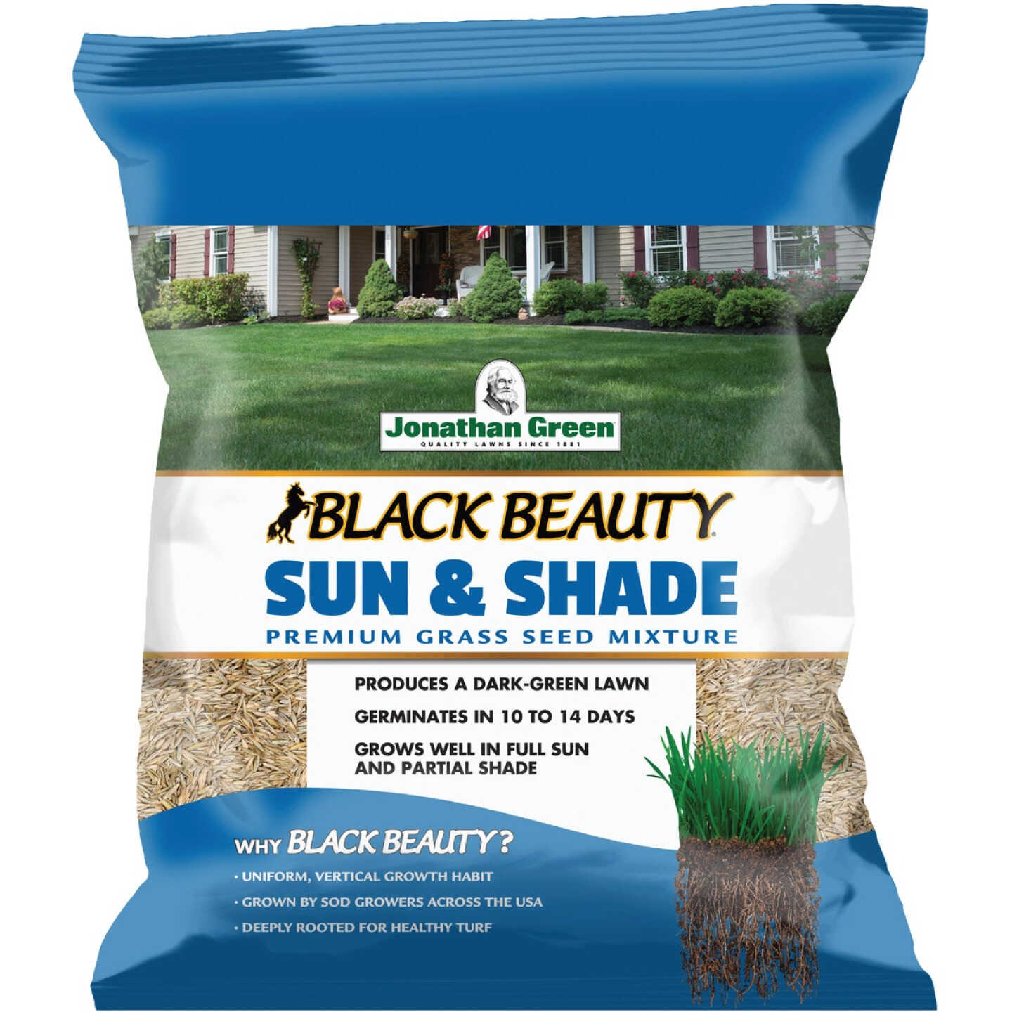 Jonathan Green Black Beauty 1 Lb. 375 Sq. Ft. Coverage Sun & Shade Grass Seed Image 1