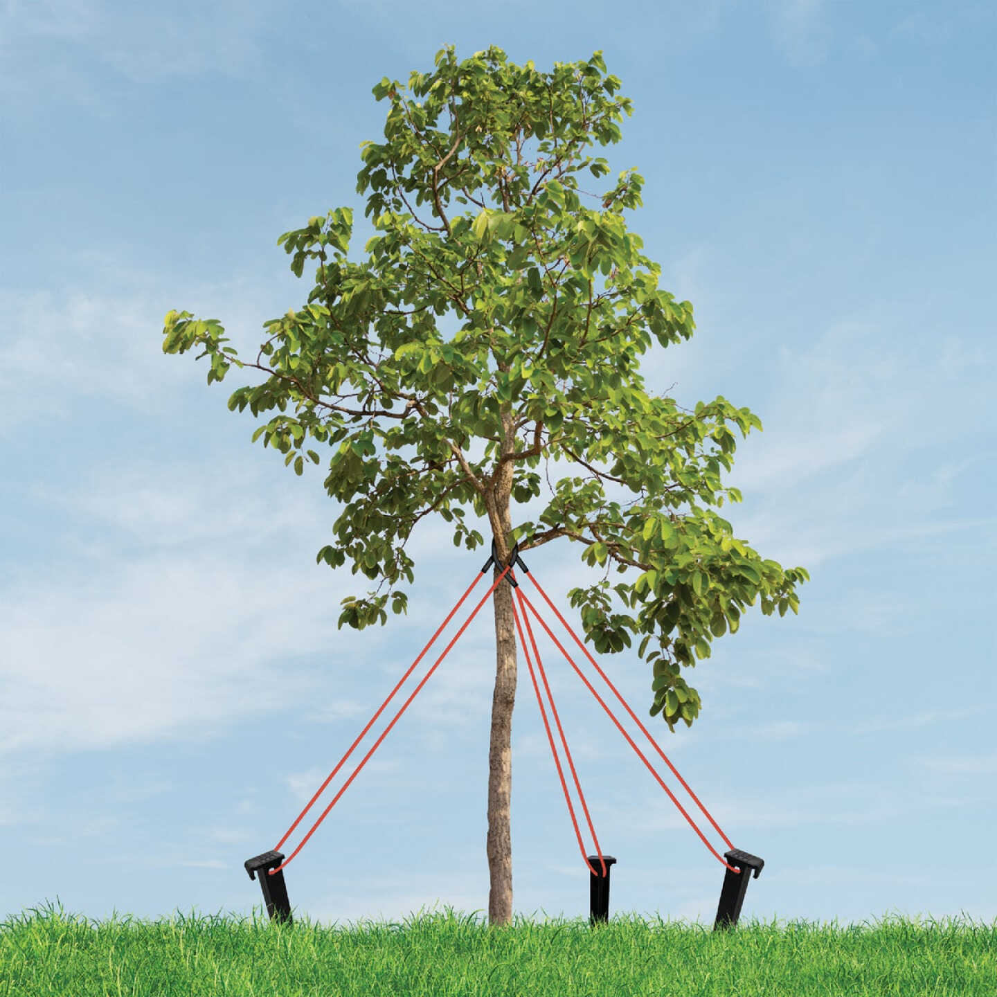 Master Mark Heavy-Duty Plastic Tree Stake Kit Image 3