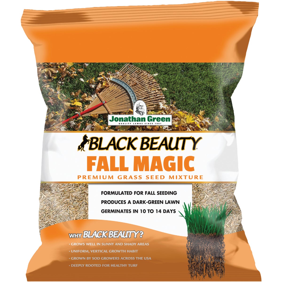 Jonathan Green Black Beauty Fall Magic 3 Lb. 750 Sq. Ft. Coverage Sun & Shade Grass Seed Image 1