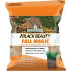 Jonathan Green Black Beauty Fall Magic 3 Lb. 750 Sq. Ft. Coverage Sun & Shade Grass Seed Image 1