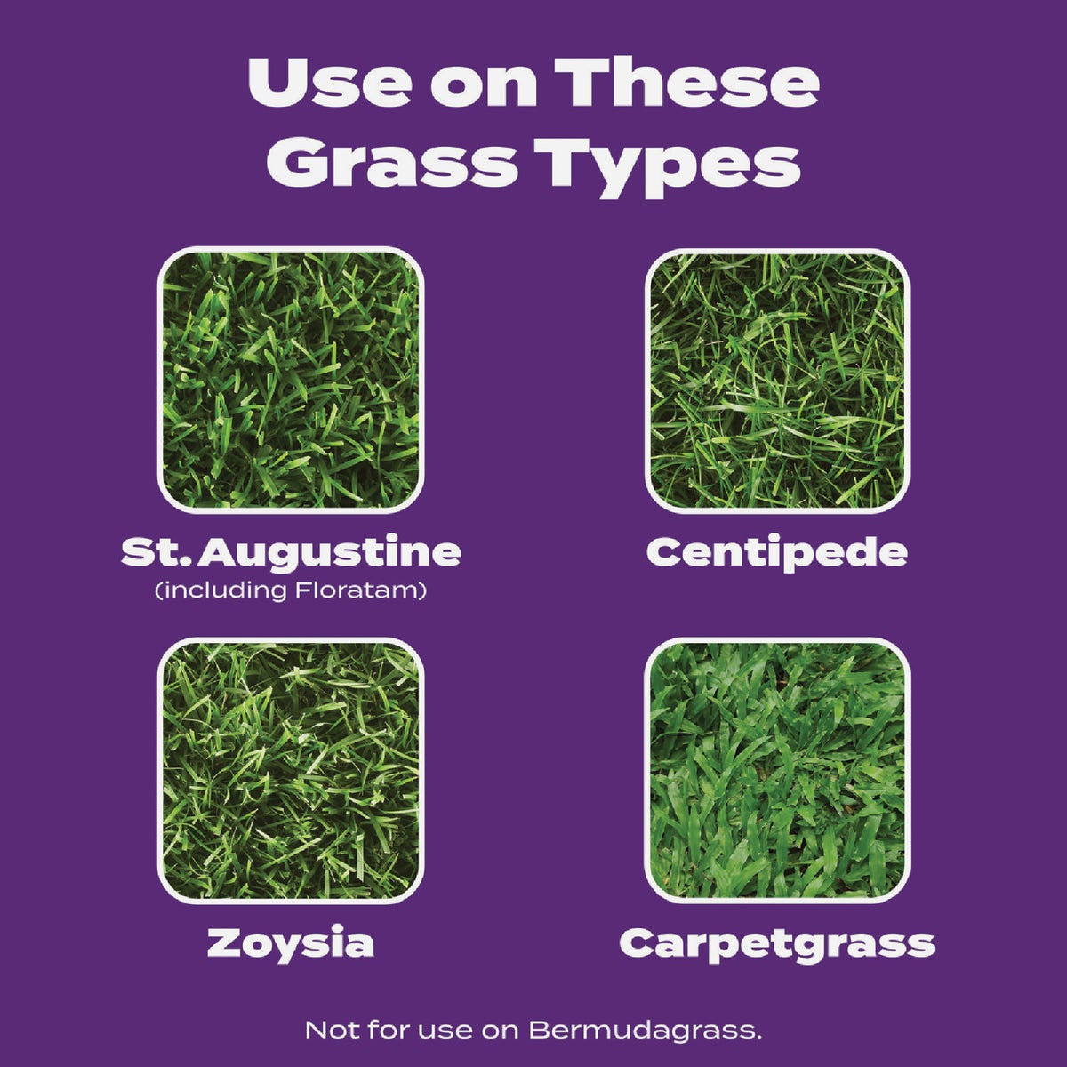 Scotts Turf Builder Bonus S Southern Weed & Feed 18.21 Lb. 5000 Sq. Ft. Weed Killer Plus Lawn Fertilizer Image 5