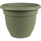 Bloem Ariana 12 In. Plastic Self Watering Thyme Green Planter Image 1