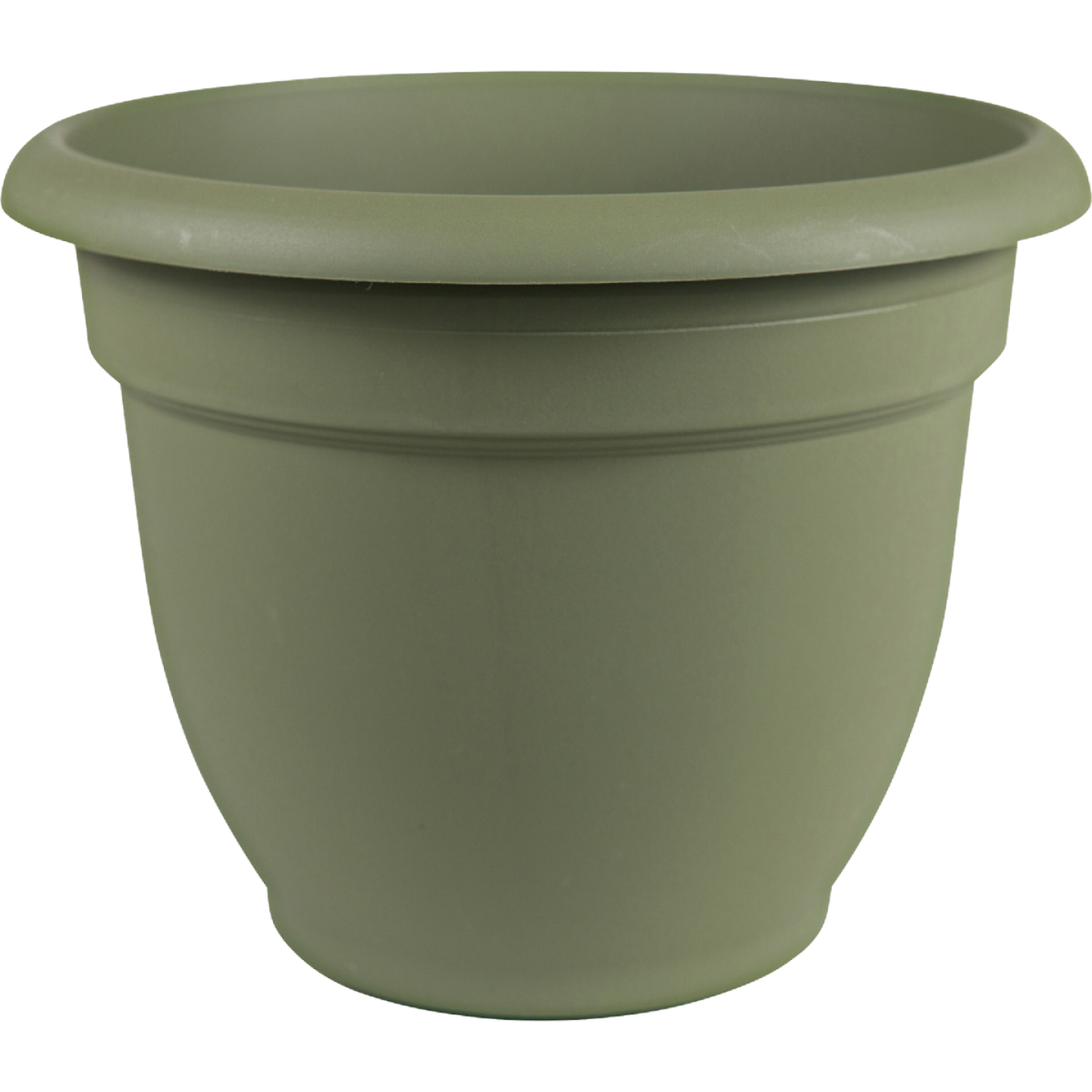 Bloem Ariana 12 In. Plastic Self Watering Thyme Green Planter Image 1