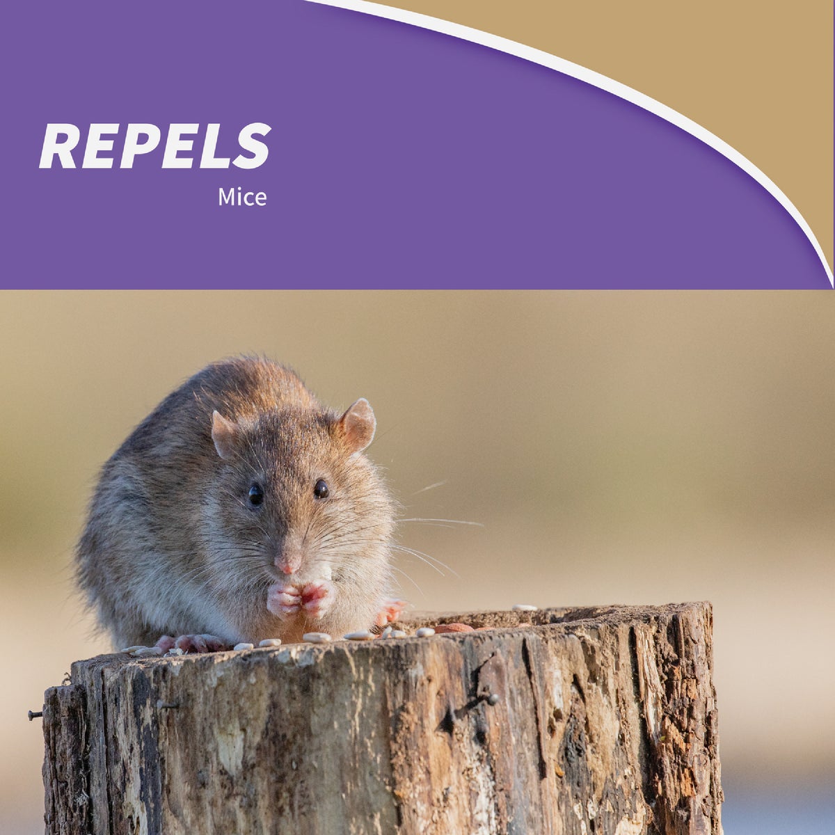 Bonide Mouse Magic Granular Mouse Repellent Scent Packs (12-Pack) Image 4