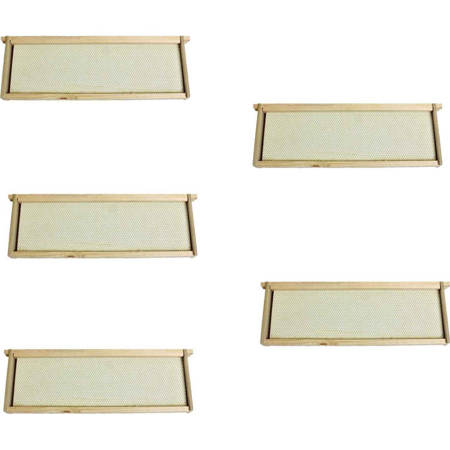 Harvest Lane Honey Medium Beehive, 5 Frames Image 1