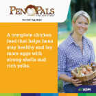 ADM Pen Pals 50 Lb. Egg Maker Chicken Feed Crumble Image 7
