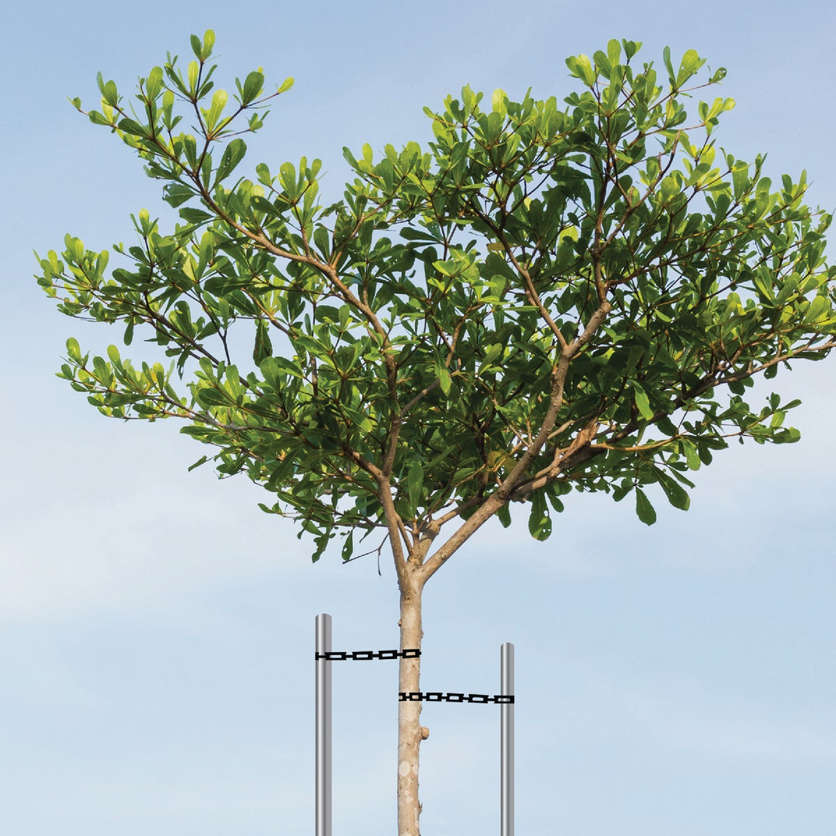 Master Mark 1/2 In. W. x 20 Ft. L. Plastic Black Chainlock Tree Support Image 3