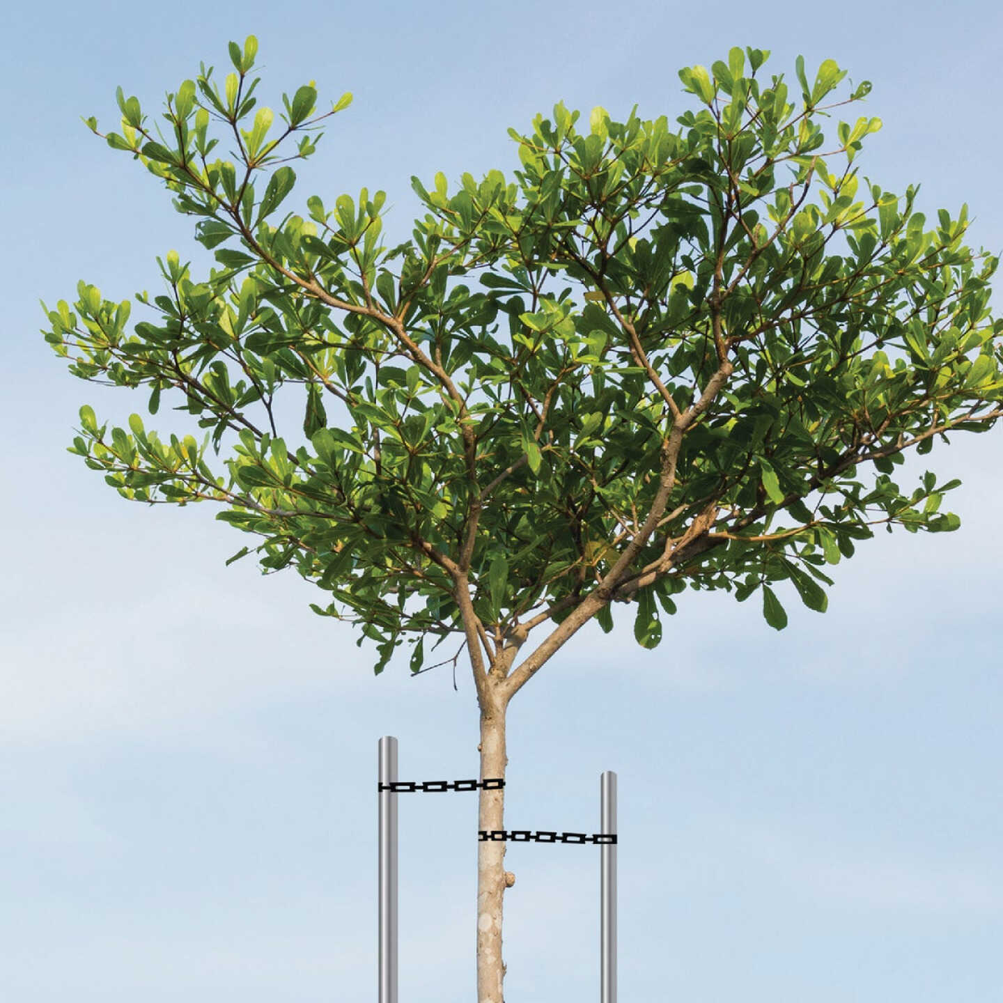 Master Mark 1/2 In. W. x 20 Ft. L. Plastic Black Chainlock Tree Support Image 3