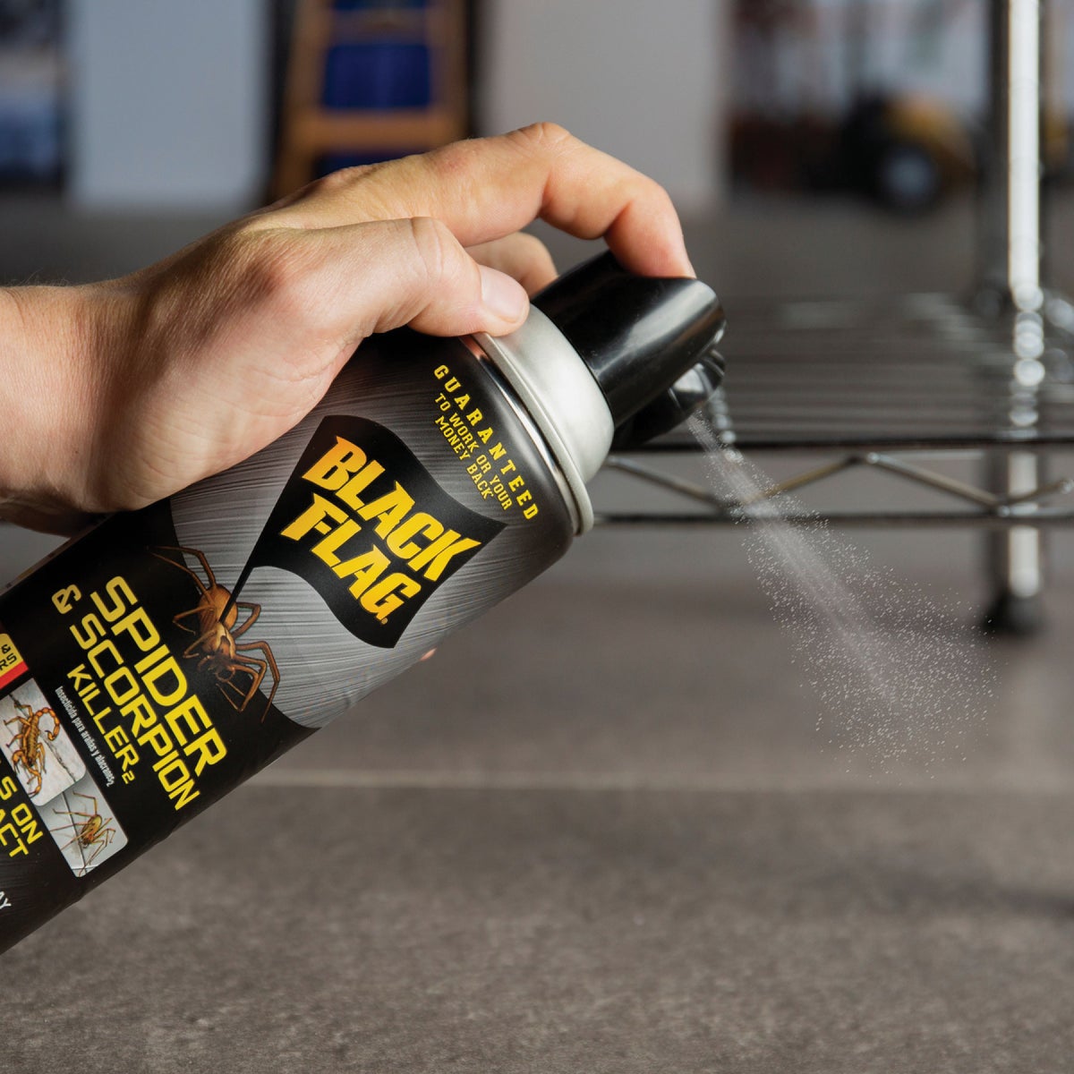 Black Flag 16 Oz. Aerosol Spider & Scorpion Killer Image 3