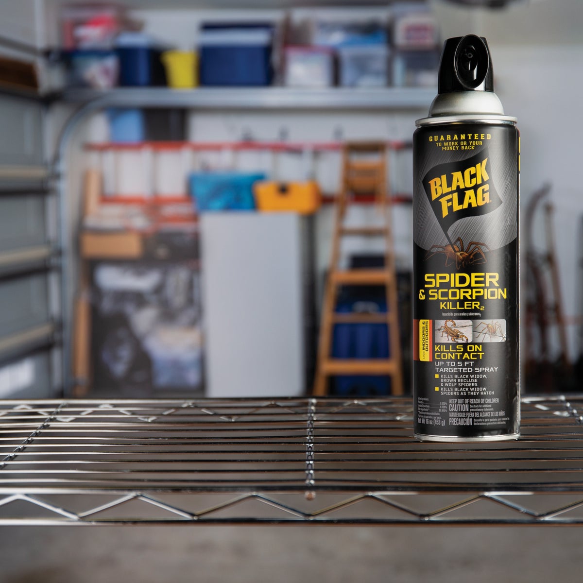 Black Flag 16 Oz. Aerosol Spider & Scorpion Killer Image 4