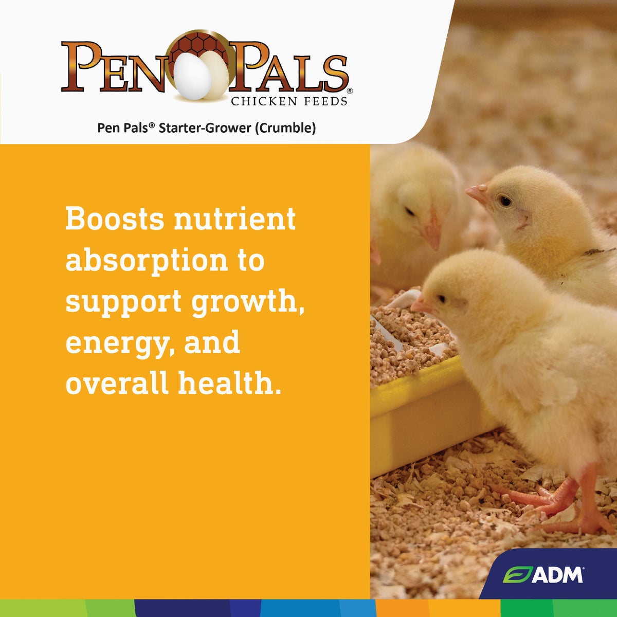 ADM Pen Pals 25 Lb. Chicken Starter/Grower Chicken Feed Image 6