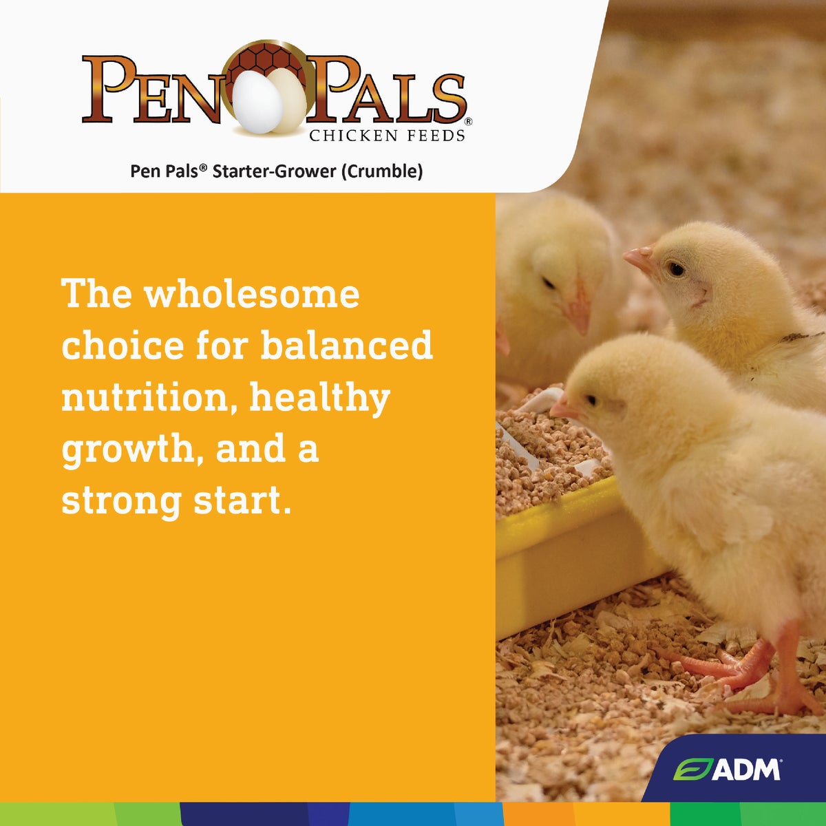 ADM Pen Pals 50 Lb. Medicated Chicken Starter/Grower Chicken Feed Image 7