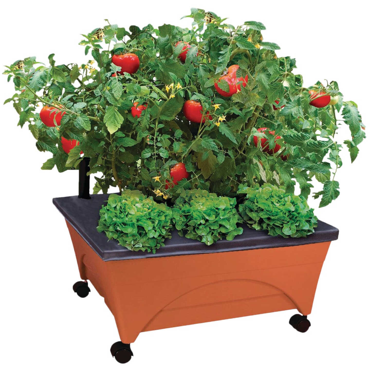 City Pickers 24 In. W. x 20 In. H. x 24 In. L. Terra Cotta Resin Portable Patio Garden Kit Image 1