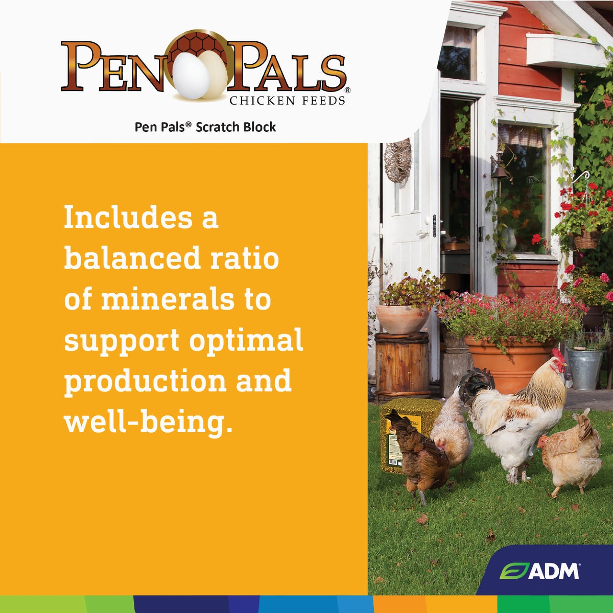 ADM Pen Pals 25 Lb. Poultry Scratch Block Chicken Feed Image 6