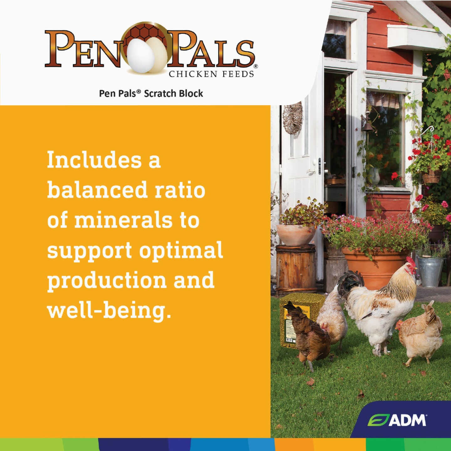 ADM Pen Pals 25 Lb. Poultry Scratch Block Chicken Feed Image 6