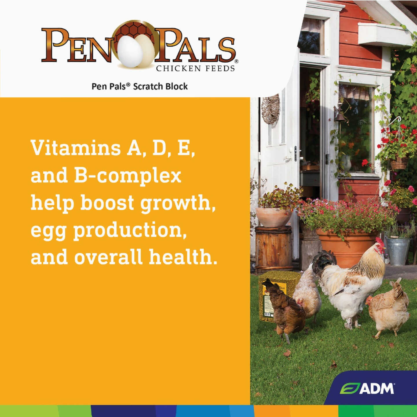 ADM Pen Pals 25 Lb. Poultry Scratch Block Chicken Feed Image 7