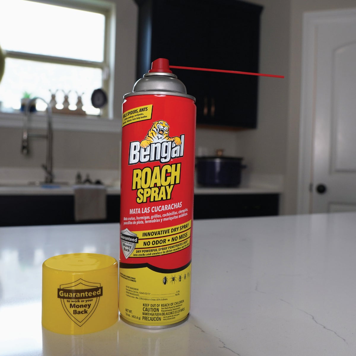 Bengal 16 Oz. Aerosol Spray Roach Killer Image 3