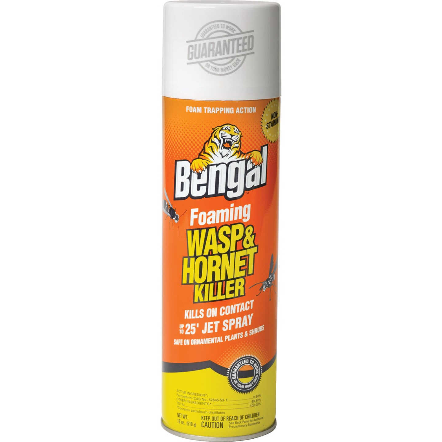 Bengal 16 Oz. Foaming Aerosol Spray Wasp & Hornet Killer Image 1