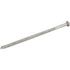 50LB 40D BRT POLBRN NAIL Image 1