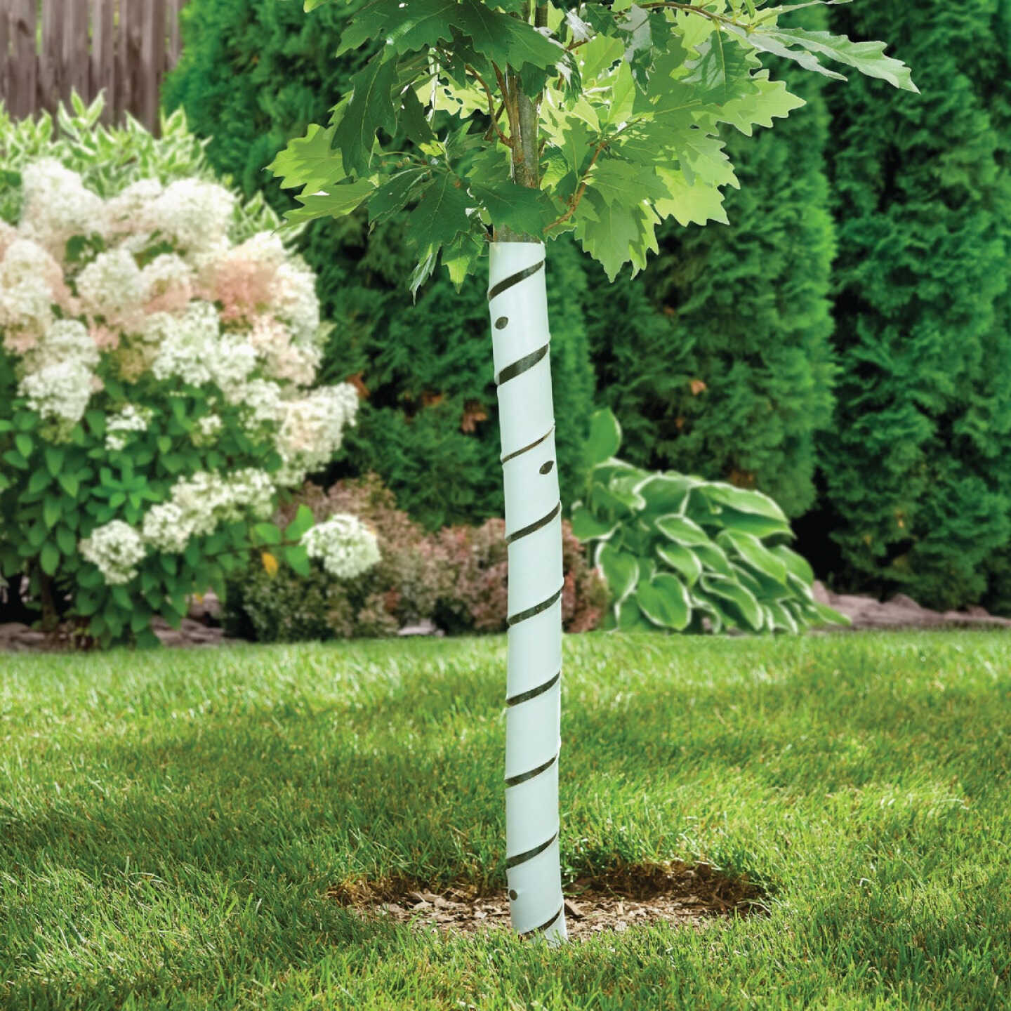 Master Mark 4 In. W. x 24 In. L. Spiral Tree Protector (2-Pack) Image 2