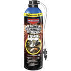 BioAdvanced 18 Oz. Foam Carpenter Bee & Termite Killer Image 1
